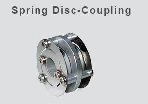 Spring-Disc-Coupling