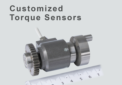 Customized Torquesensors