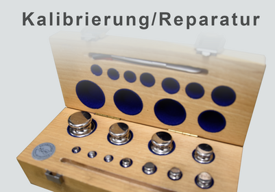 Kalibrierung und Reparatur Ihres Drehmomentsensors